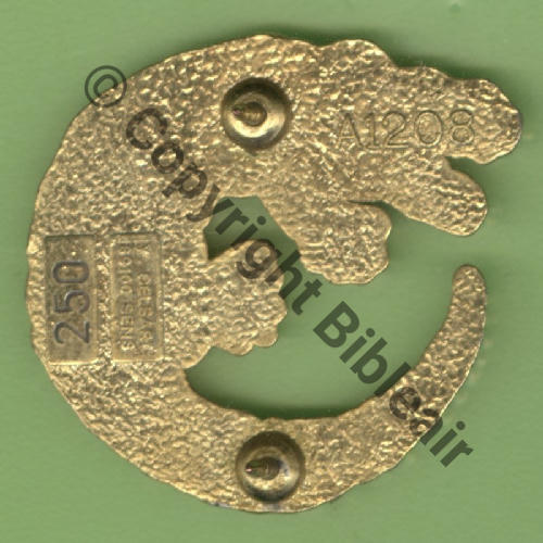 GUYANE A1208 2000 Reprise SPA.152 EHOM.68 CAYENNE  De Dos granuleux irreg scintillant No250 ADC GAILLARD Src.Y.GENTY 12Eur sans No 01.13 